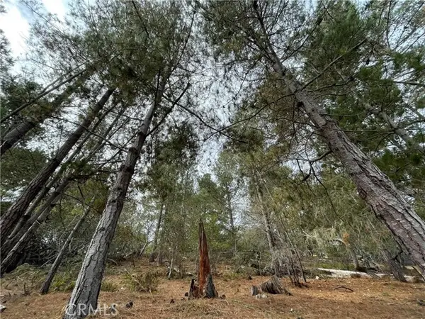 1955 Avon Avenue, Cambria, CA 93428