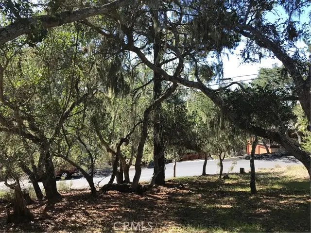 0 Saint James Road, Cambria, CA 93428 - Image #3