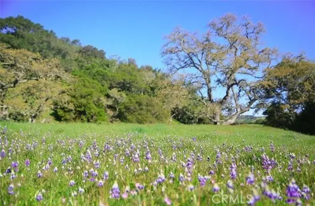 0 Old Creek Road, Cayucos, CA 93430 - #3