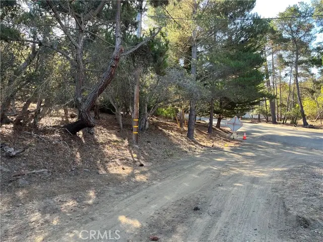 1818 Tweed Avenue, Cambria, CA 93428 - #2