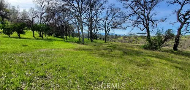 16220 Rancho Tehama Road, Corning, CA 96021 - Image #2