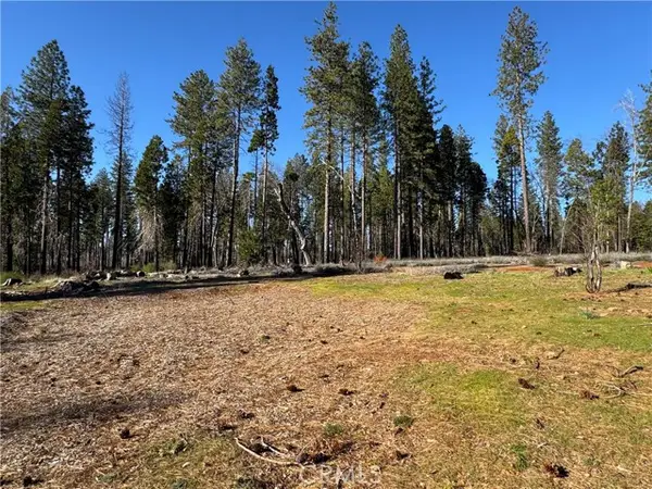 13787 Curtis Court, Magalia, CA 95954