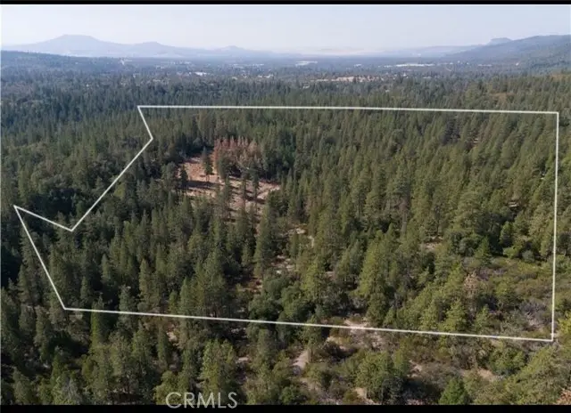 5901 Manton Ponderosa Way, Manton, CA 96059 - #1