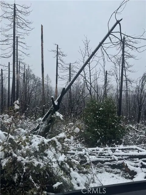 0 Seminole Drive, Berry Creek, CA 95916 - Image #1