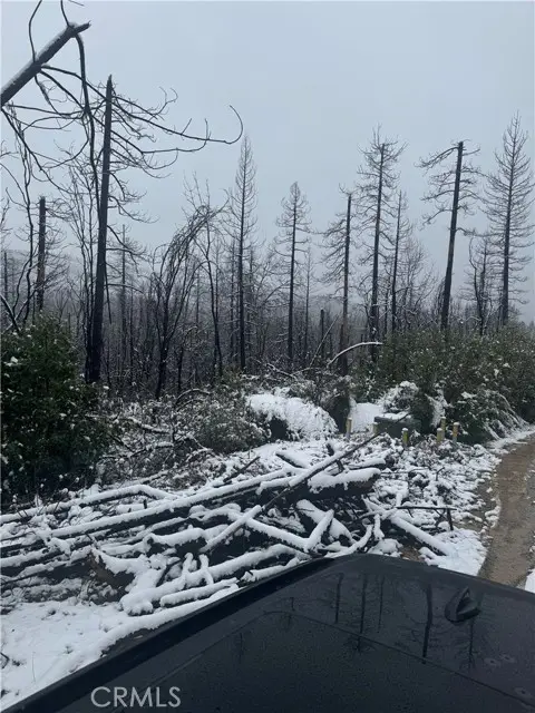 0 Seminole Drive, Berry Creek, CA 95916 - Image #2