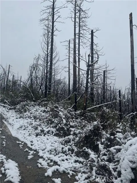 0 Seminole Drive, Berry Creek, CA 95916 - Image #3