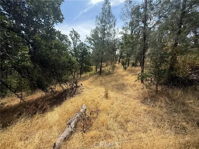 16295 Hillcrest Drive, Corning, CA 96021 - Image #2