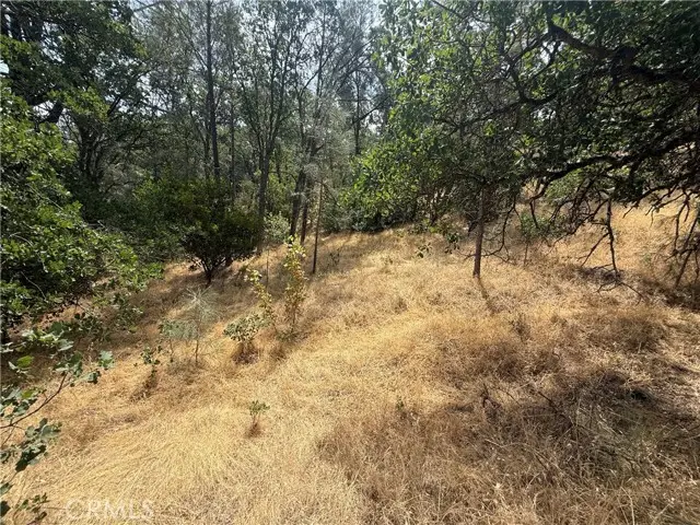 16295 Hillcrest Drive, Corning, CA 96021 - Image #3