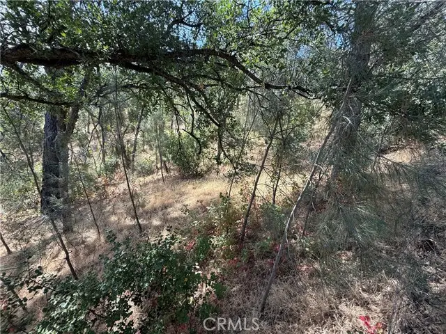 16305 Hillcrest Drive, Corning, CA 96021 - Image #2