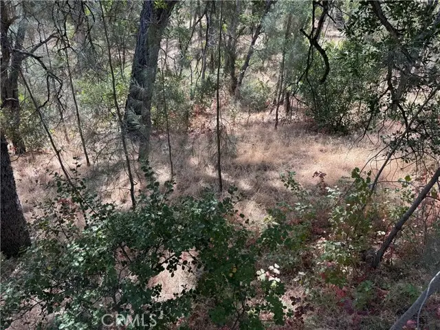 16305 Hillcrest Drive, Corning, CA 96021 - Image #3