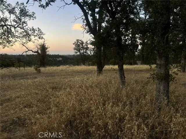 6915 Remunda Road, Corning, CA 96021 - #1