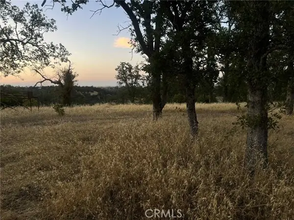 6915 Remunda Road, Corning, CA 96021