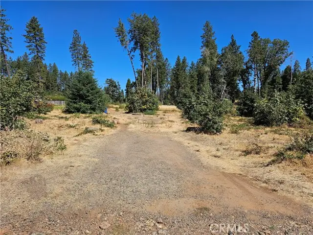 1533 Forest Service Rd, Paradise, CA 95969 - Image #1