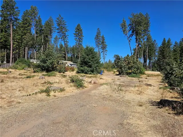 1533 Forest Service Rd, Paradise, CA 95969 - Image #2