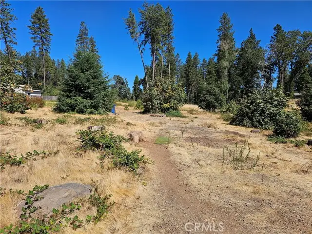 1533 Forest Service Rd, Paradise, CA 95969 - Image #3