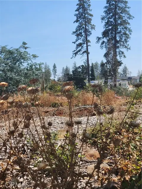 420 Simpson Ranch Road, Berry Creek, CA 95916 - #1