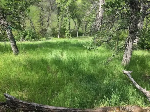 16368 Lariat Loop, Corning, CA 96021