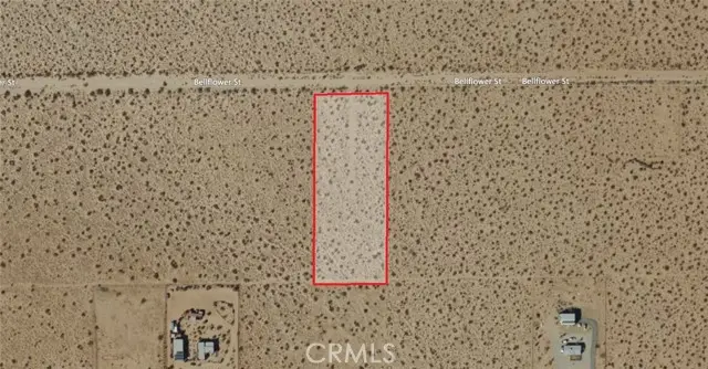 303 Bellflower Road, Joshua Tree, CA 92252 - Image #1