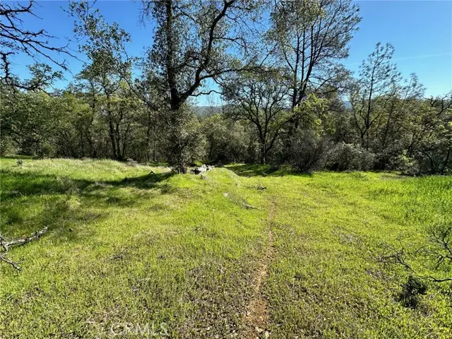 169 Shady Oak Drive, Oroville, CA 95966 - #2