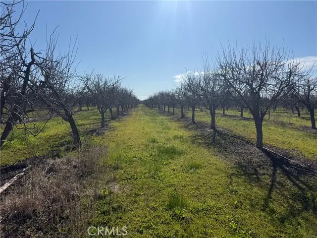 0 Cana Highway, Chico, CA 95973 - Image #2