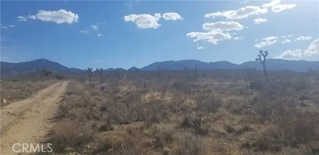 0 Vac/175 Ste/vic Ft Tejon Road, Llano, CA 93544 - Image #2