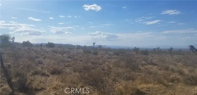 0 Vac/175 Ste/vic Ft Tejon Road, Llano, CA 93544 - Image #3