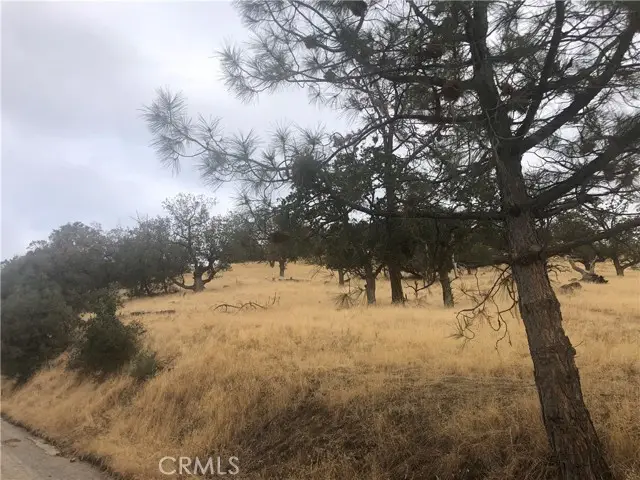 0 Matterhorn, Tehachapi, CA 93561 - Image #2