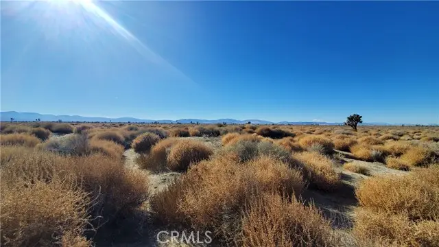 0 Vicinity Avenue L2 & 77th East Street, North Antelope Valley, CA 93535 - Image #2