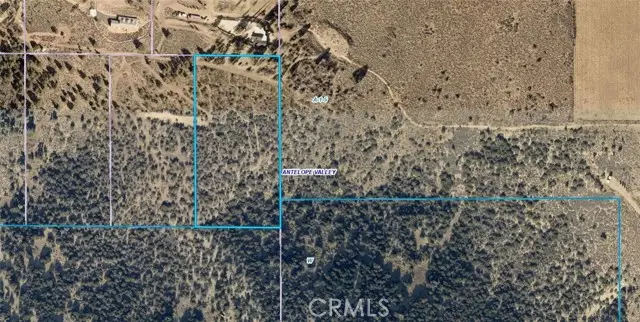 0 Juniper Hills Road, Pearblossom, CA 93543 - Image #1