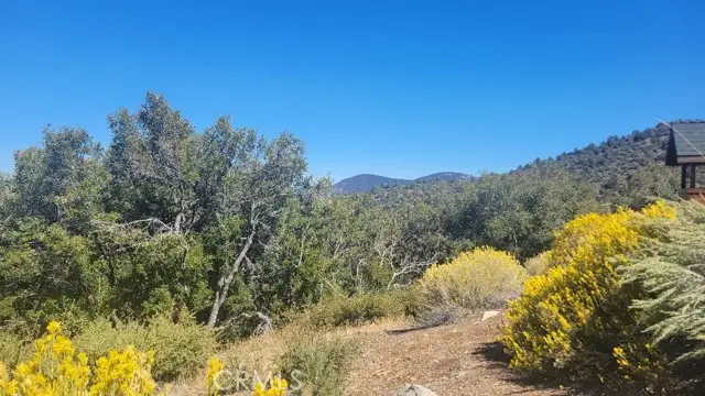 1806 Zermatt, Pine Mountain Club, CA 93222 - Image #2