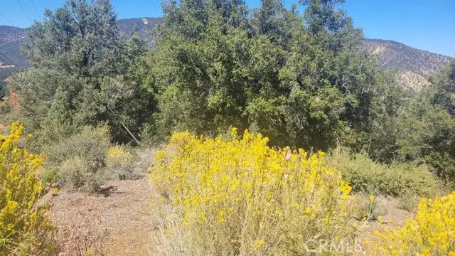 1806 Zermatt, Pine Mountain Club, CA 93222 - Image #3