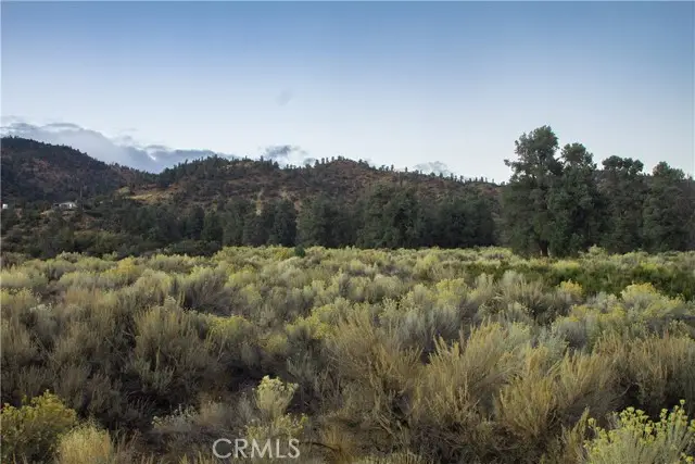 0 Curtis Trl, Frazier Park, CA 93225 - Image #3