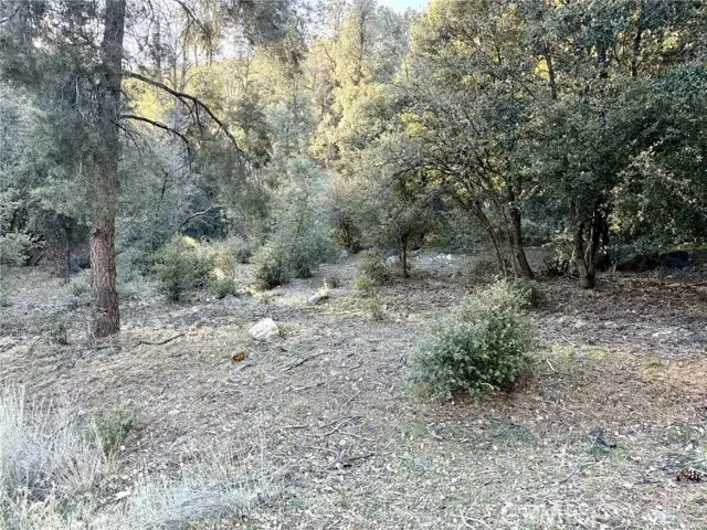 15718 Plum Way, Pine Mountain Club, CA 93222 - Image #1