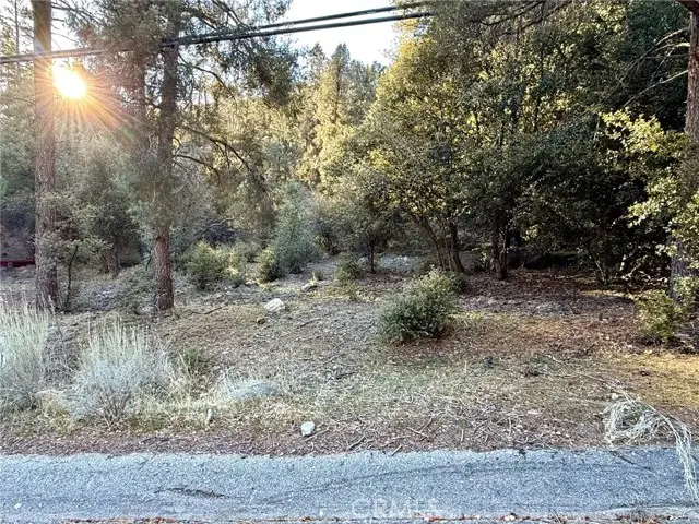 15718 Plum Way, Pine Mountain Club, CA 93222 - Image #2