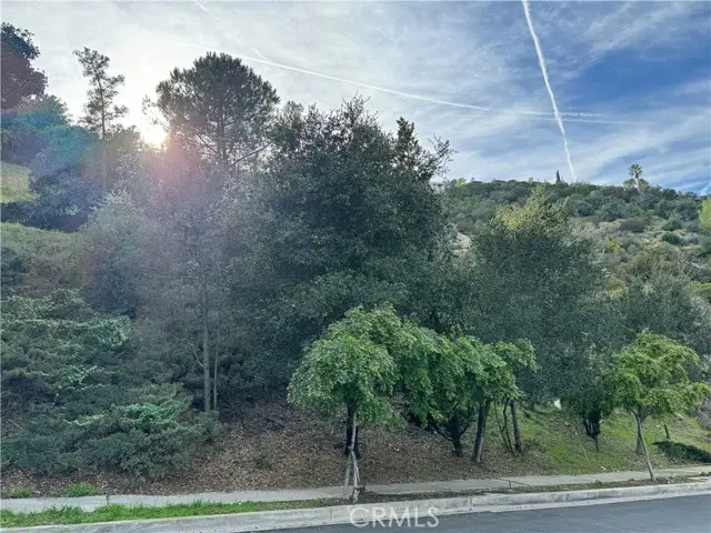 2485 Jupiter, Los Angeles, CA 90046 - Image #2