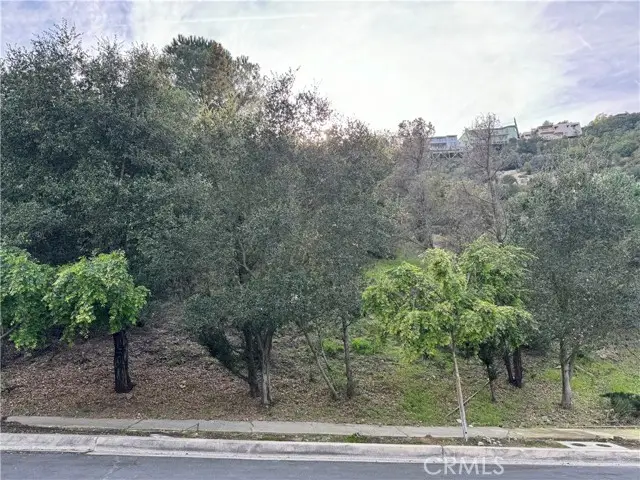 2485 Jupiter, Los Angeles, CA 90046 - Image #3
