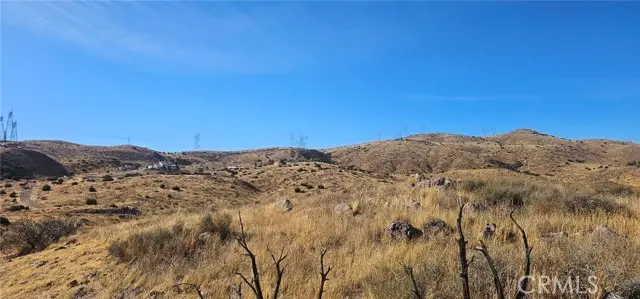 0 Richter Lane, Acton, CA 93510 - Image #2