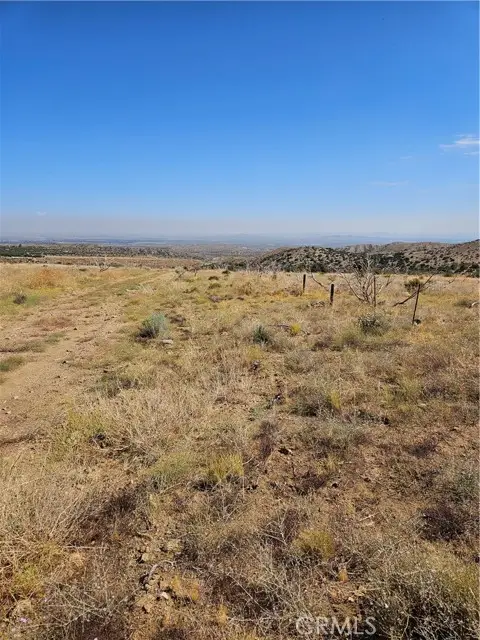 118 E Avenue, Pearblossom, CA 93543 - Image #3