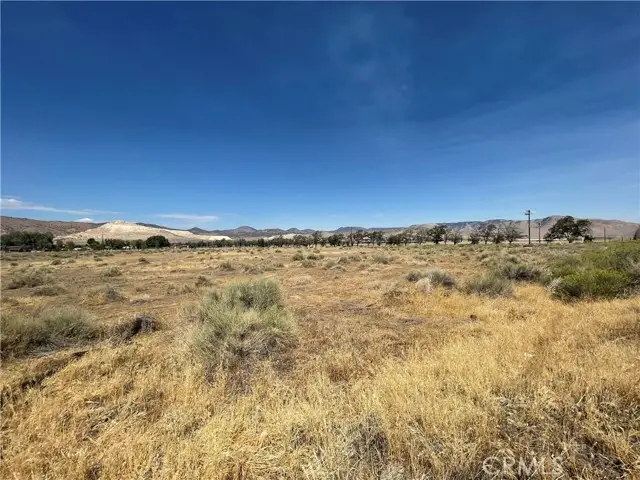 15100 Highline Road, Tehachapi, CA 93561 - Image #3