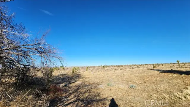 0 Crystalaire Drive, Llano, CA 93544 - Image #3