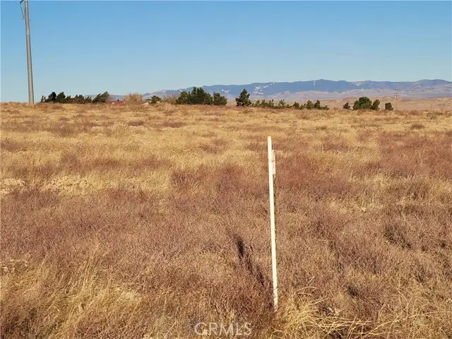 105 W Avenue K, Lancaster, CA 93536 - Image #3