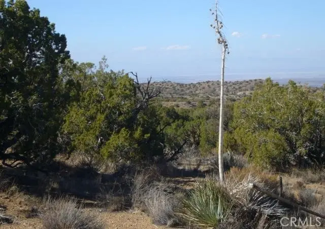 1 E Avenue Z2/118 Ste, South Antelope Valley, CA 93543 - Image #3