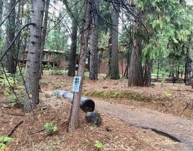 14669 Old Camptonville Road, Camptonville, CA 95922 - Image #1