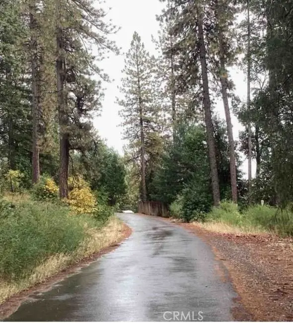 14669 Old Camptonville Road, Camptonville, CA 95922 - Image #2