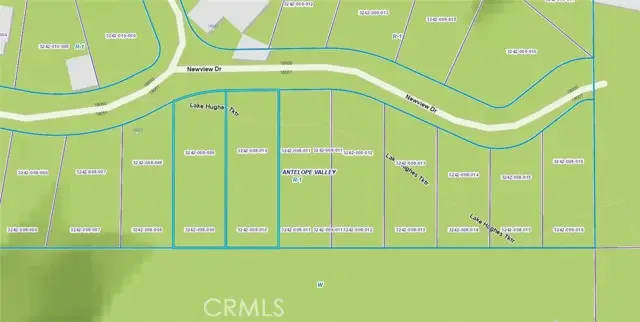 0 Newview Drive, Lake Hughes, CA 93532 - Image #2