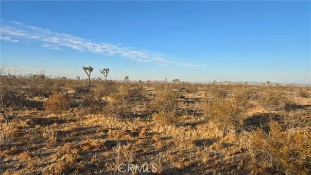 0 Avenue U4 & 257th St E, Llano, CA 93544 - Image #1