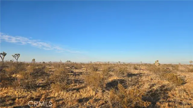 0 Avenue U4 & 257th St E, Llano, CA 93544 - Image #2