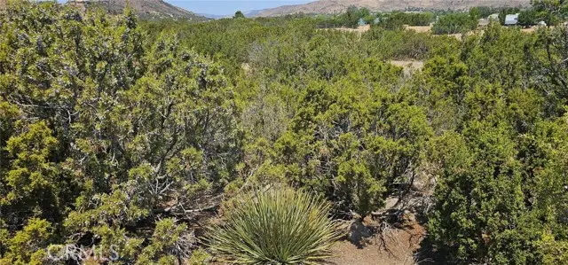 0 Easy Street, Acton, CA 93510 - Image #3