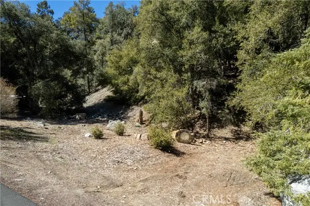 1301 Bernina Drive, Pine Mountain Club, CA 93222 - Image #2