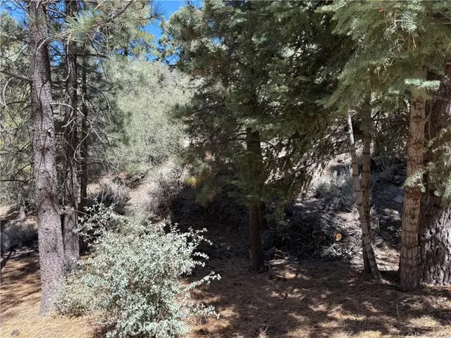 1420 Linden Drive, Pine Mountain Club, CA 93222 - Image #1